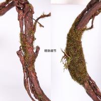 uploads/erp/collection/images/Home Garden/CongDing/XU0612448/img_b/XU0612448_img_b_3
